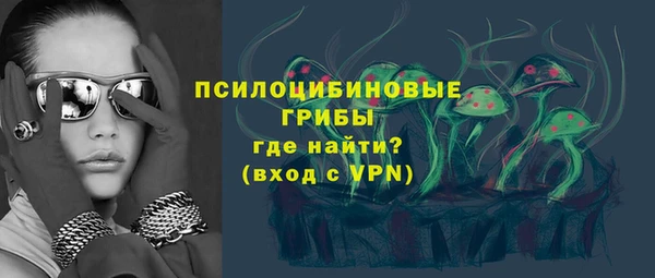 круглые Гусев