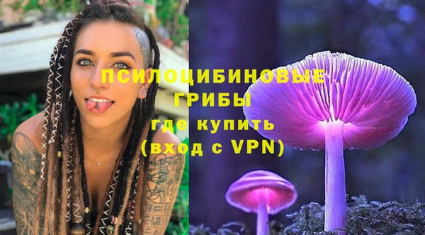 МДПВ Гусиноозёрск