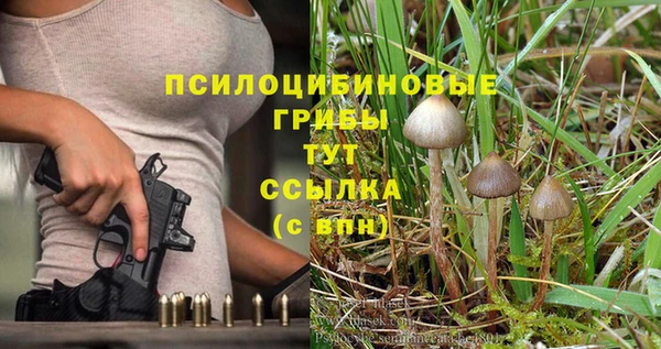 МДПВ Гусиноозёрск