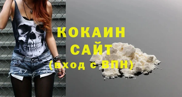 круглые Гусев