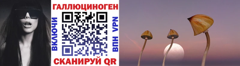 Псилоцибиновые грибы мухоморы  Темников 