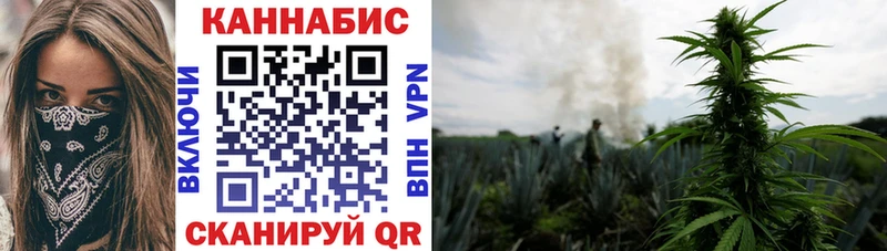 Бошки марихуана AK-47  закладка  Темников 